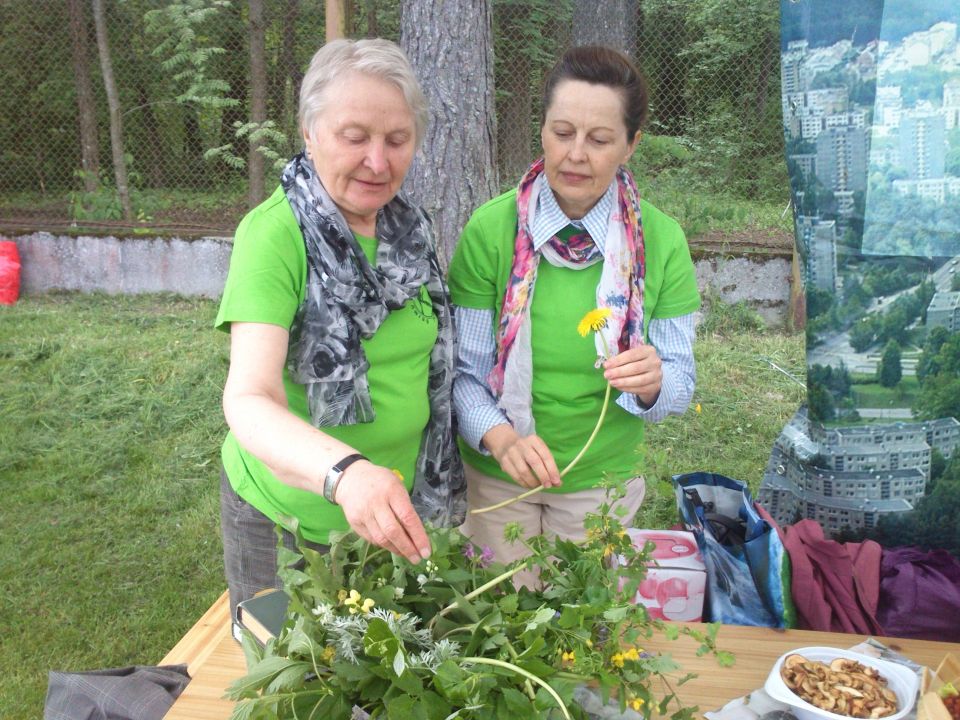 Paveiksliukas