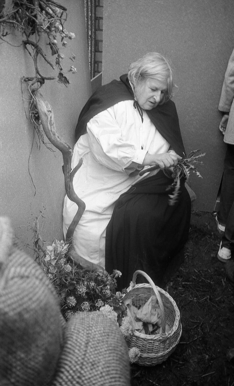 Paveiksliukas