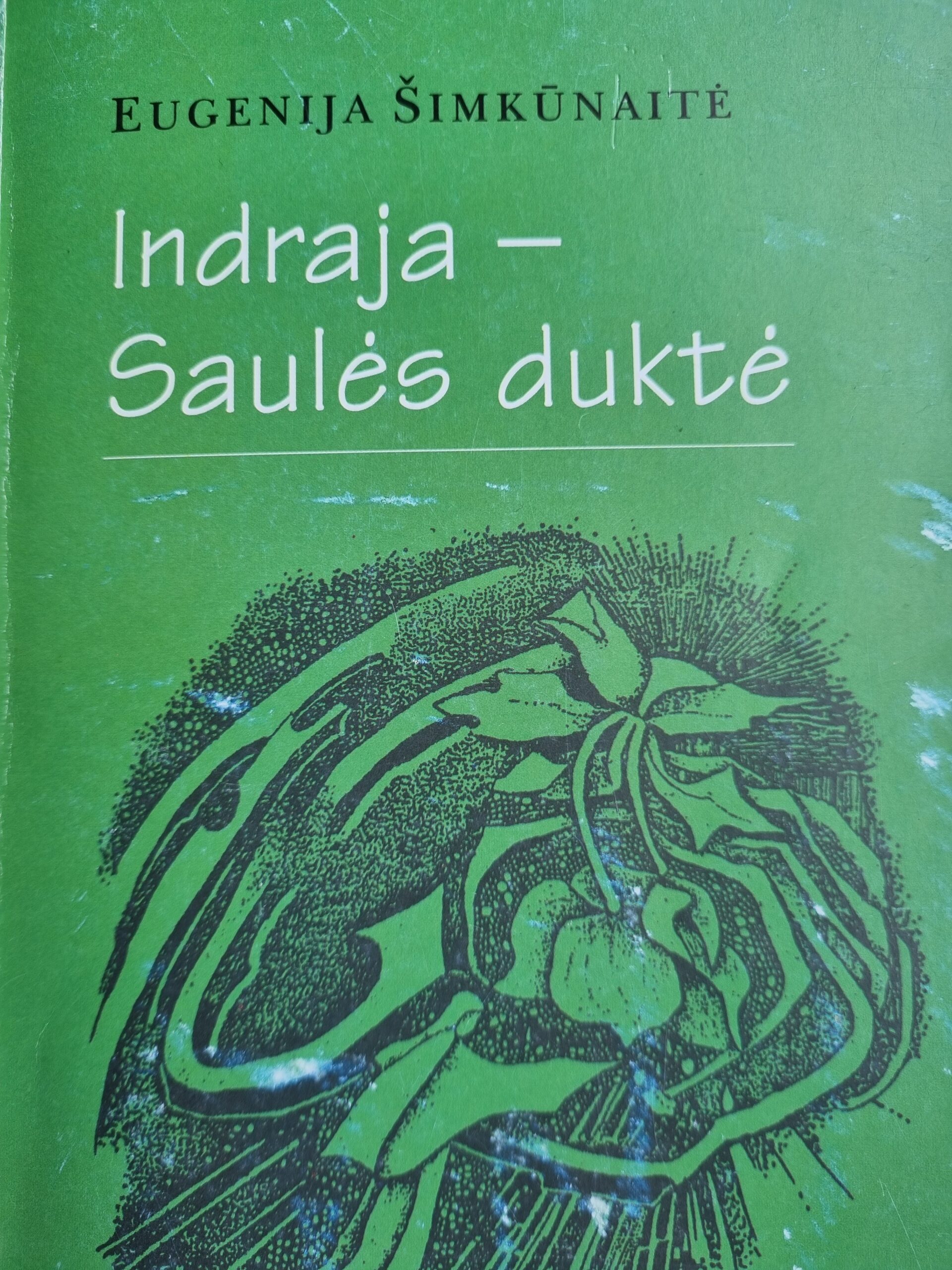 Paveiksliukas