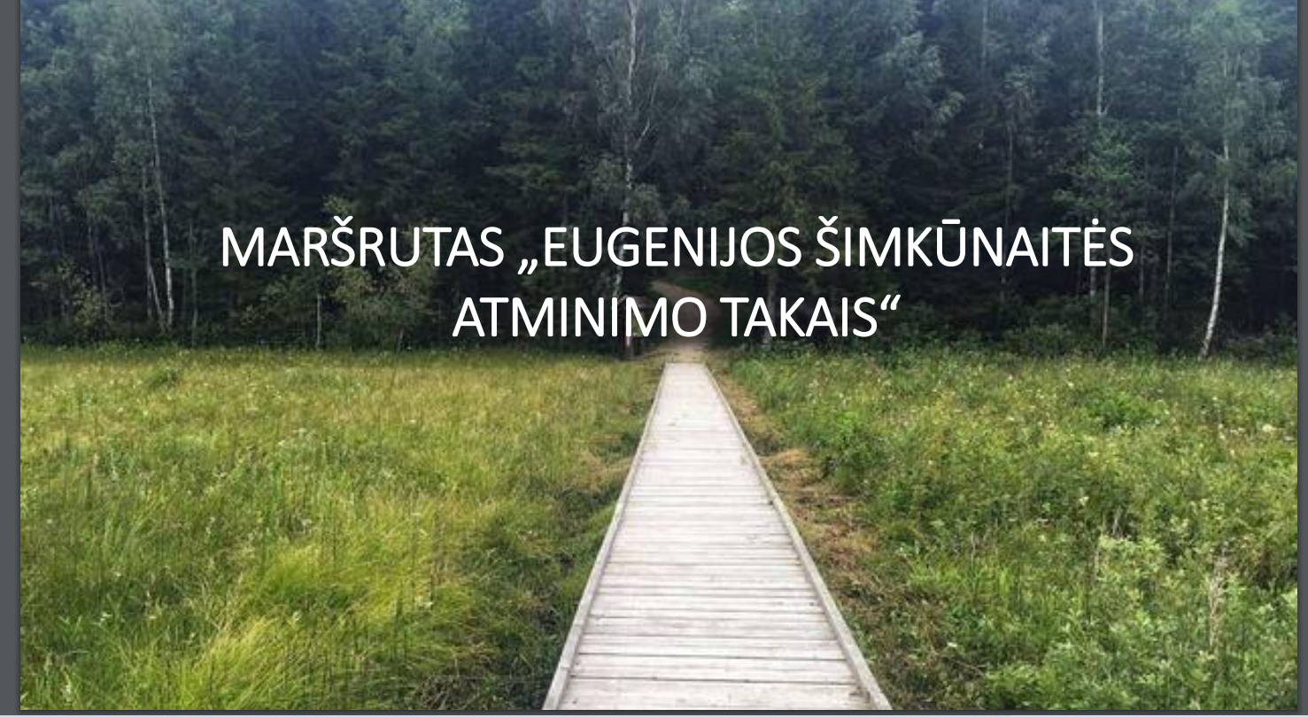 Paveiksliukas