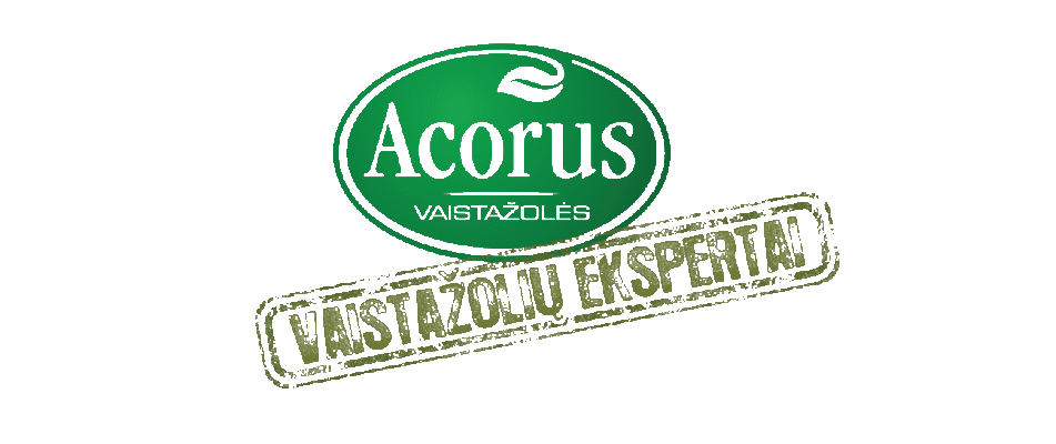 Acorus logotipas