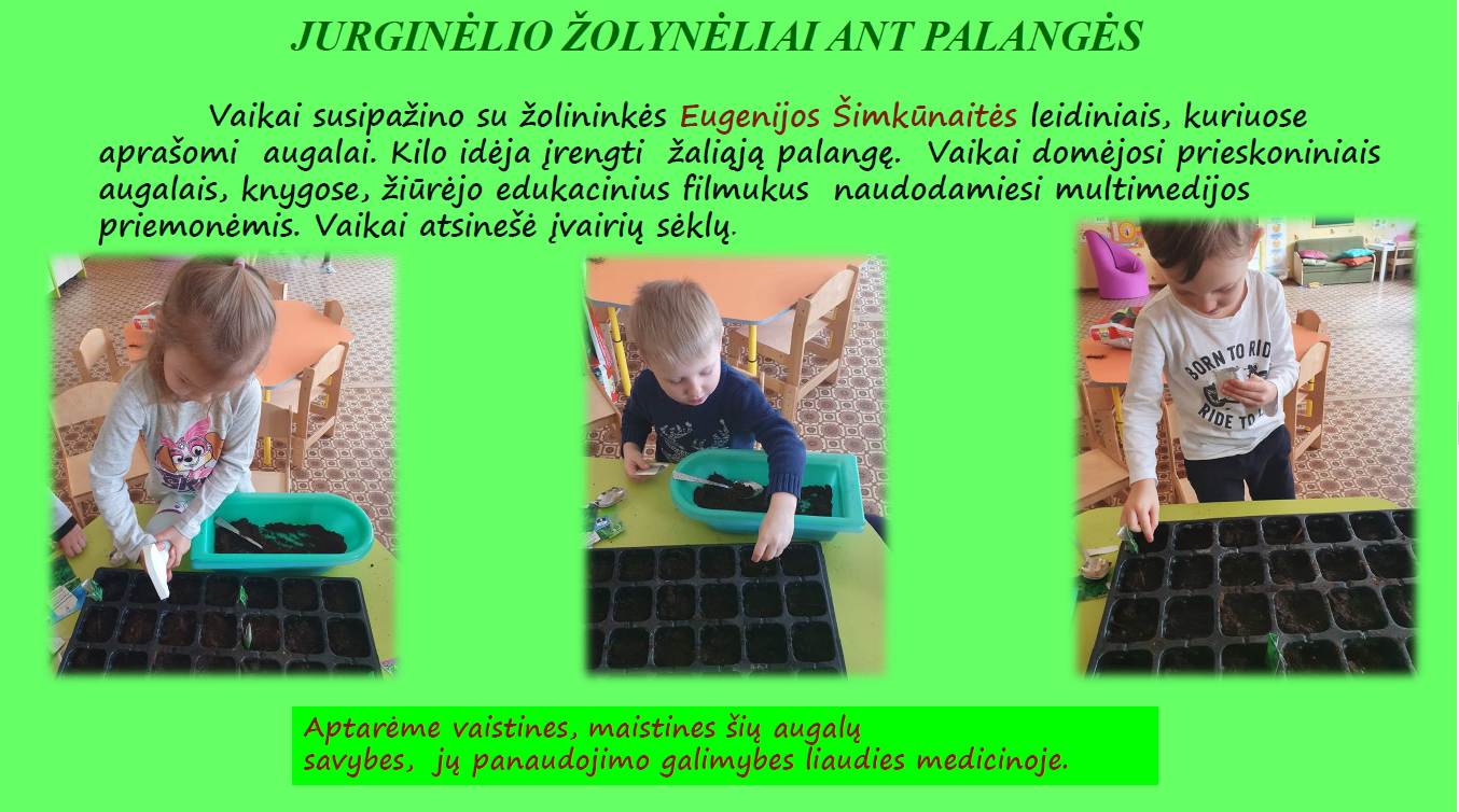 Paveiksliukas