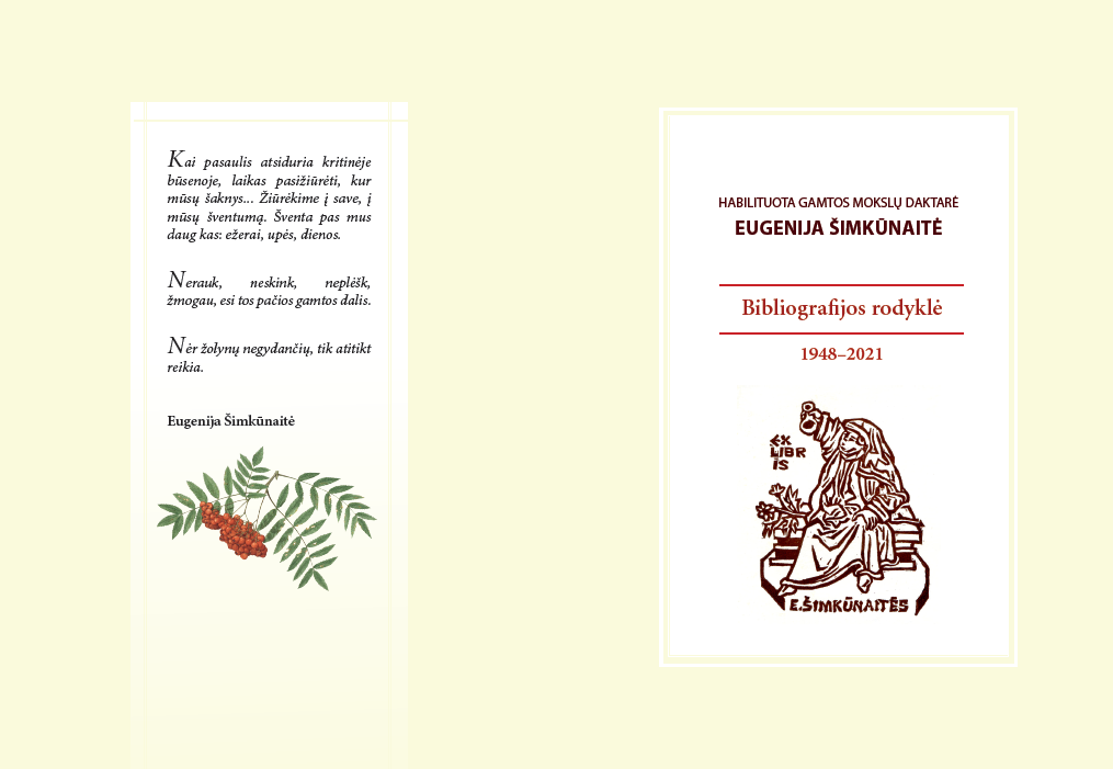 Paveiksliukas